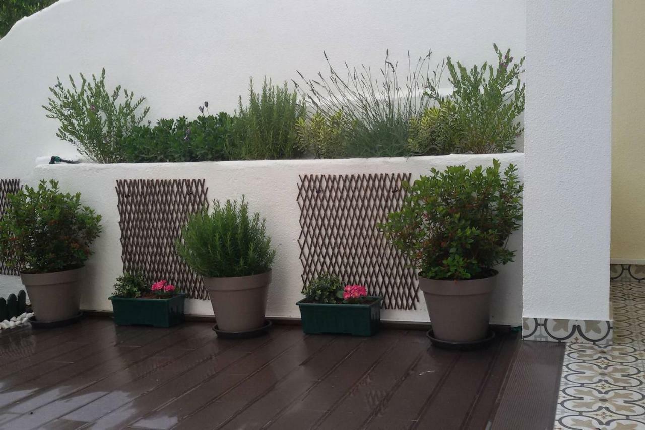 Sunny Orange Garden Apartment In Central Lissabon Exterior foto