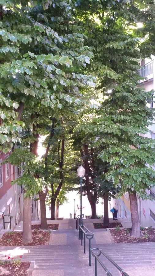 Sunny Orange Garden Apartment In Central Lissabon Exterior foto